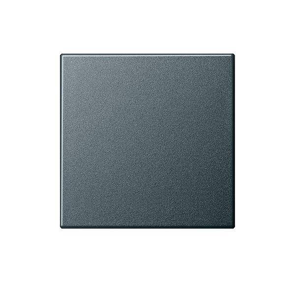 Gira Wippe Wechselsch. anth 029628