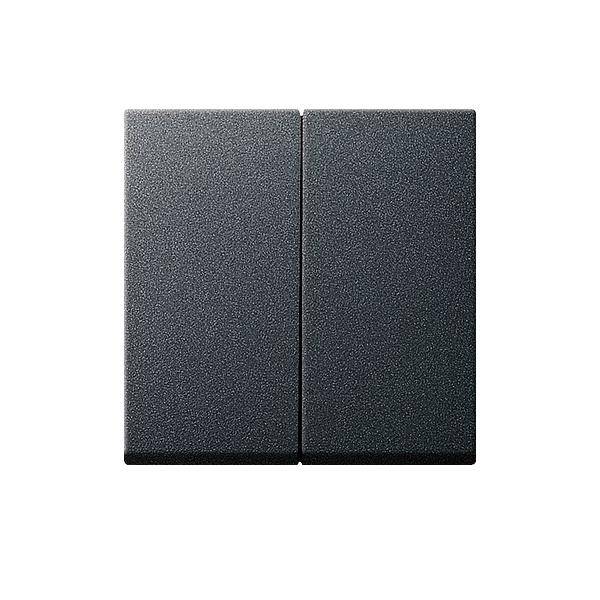 Gira Wippe Seriensch. anth 029528