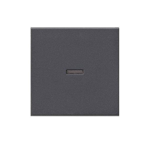 Gira Wippe anth 029028