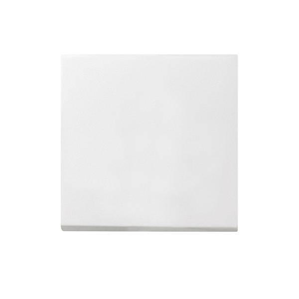 Gira Wippe Wechselsch. rws-gl 0296112