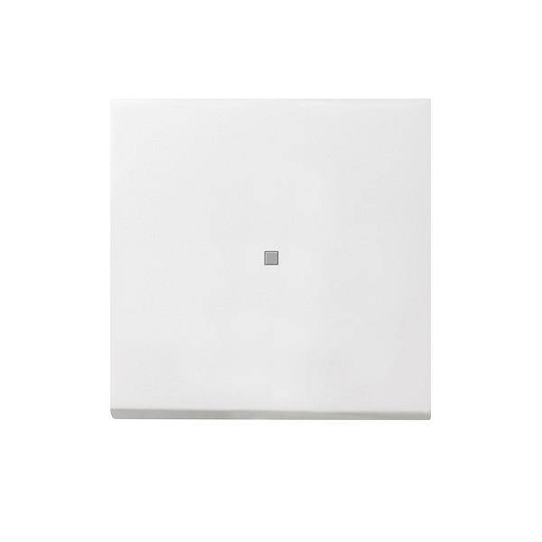 Gira Wippe Kontroll. rws-gl 0290112