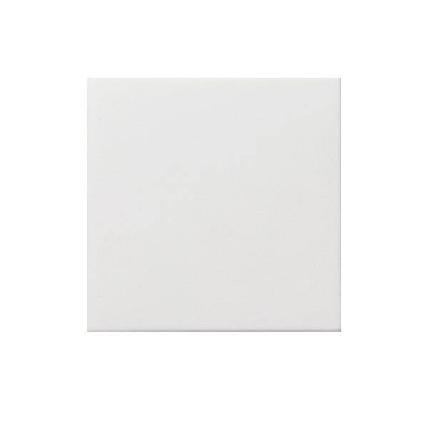 Gira Blindabdeckung rws-gl 0268112