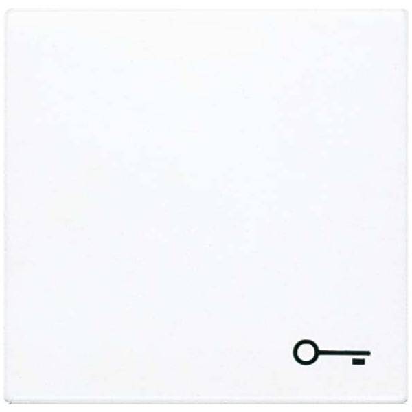 Jung Wippe Symbol TÜR aws LS 990 T WW
