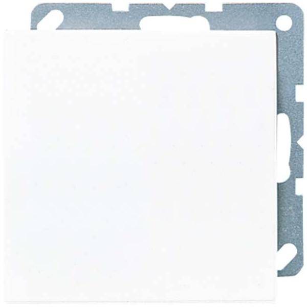 Jung Blind-Abdeckung aws LS 994 B WW