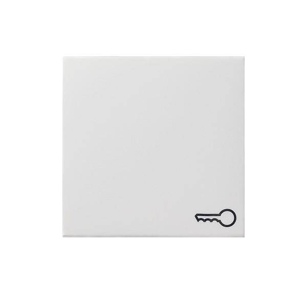 Gira Wippe Schlüssel rws 028727
