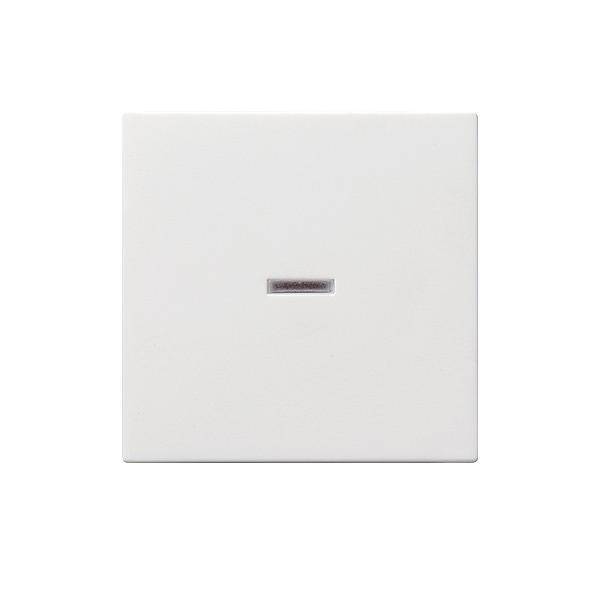 Gira Wippe rws-gl 029003