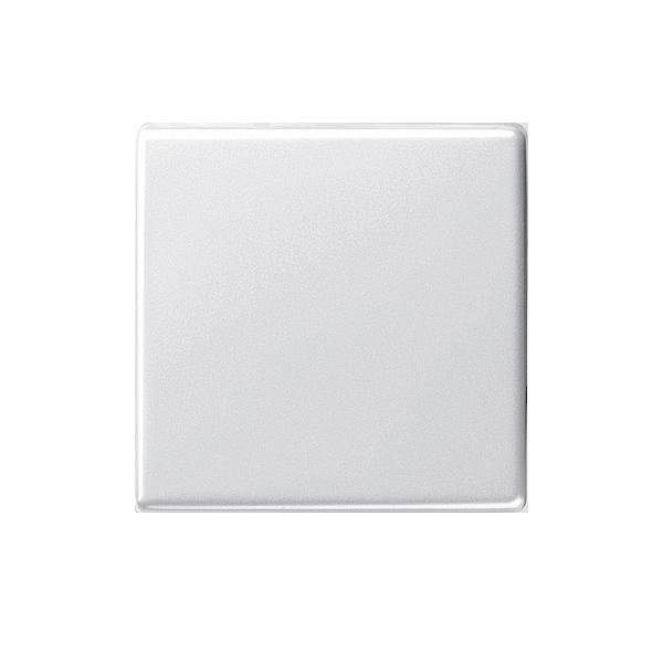 Gira Wippe Wechselsch. rws-gl 029603