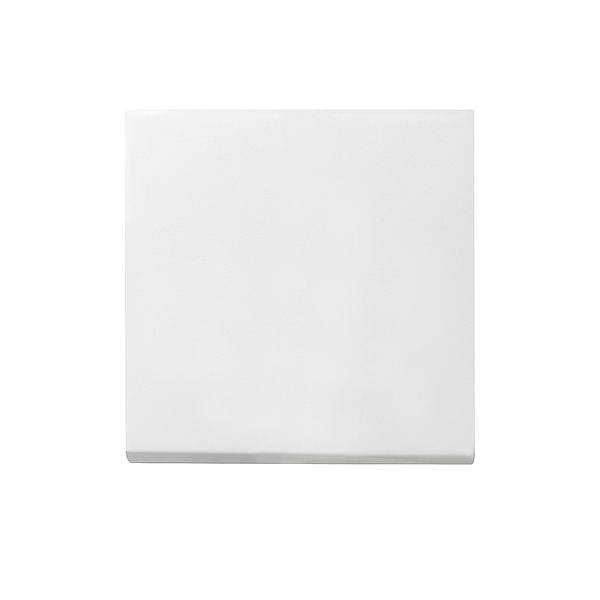 Gira Wippe Wechselsch. rws 029627