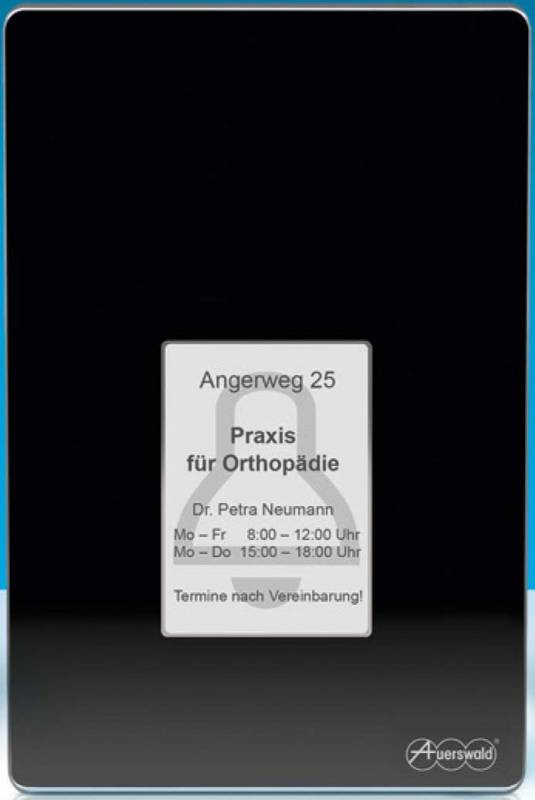 Auerswald Türfreisprechsystem TFS-Dialog 400 sw