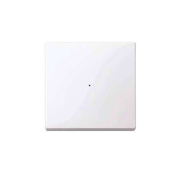 Merten Wippe aws/gl 619125