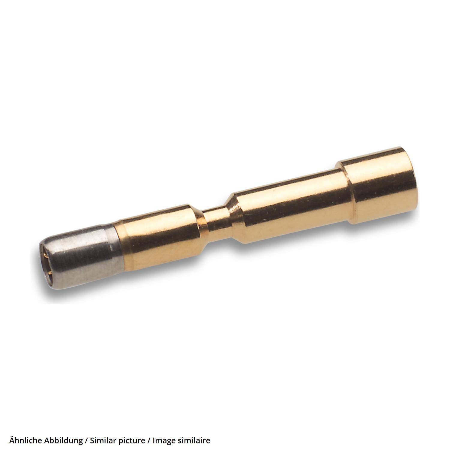 Kleiner Gold- und Silber-Metallverbindungsstift auf weißem Hintergrund, in Nahaufnahme gezeigt.