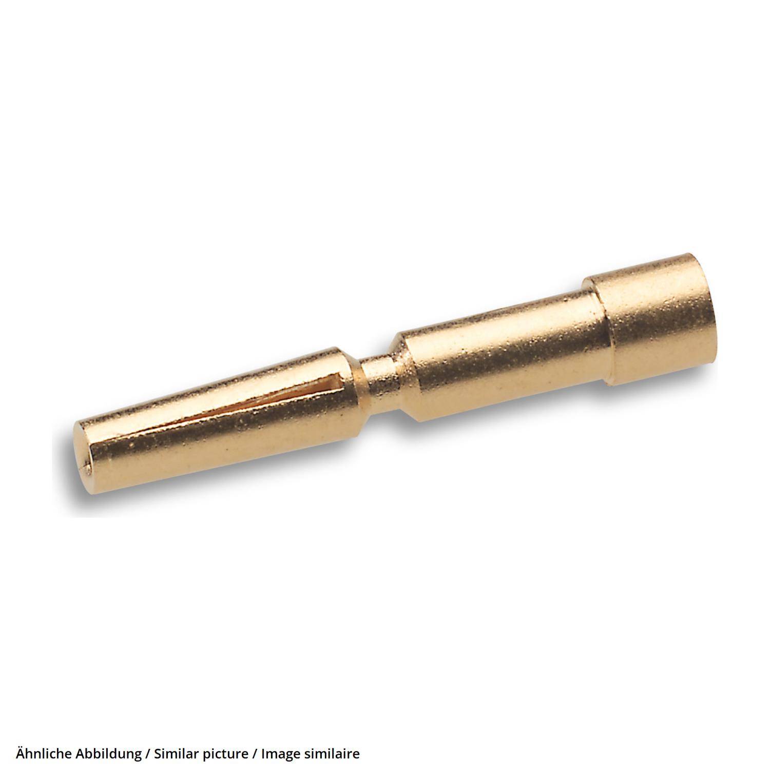 Goldfarbene Metallstift- oder Steckverbinder auf weißem Hintergrund, isoliert und horizontal angewinkelt dargestellt.