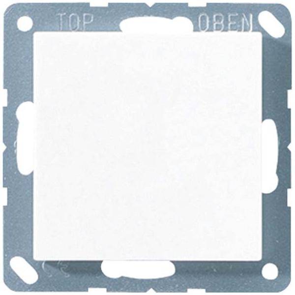 Jung Blind-Abdeckung aws A 594-0 WW
