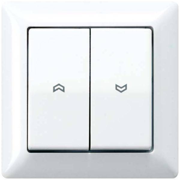 Jung Abdeckung Symbole aws AS 590-5 P WW