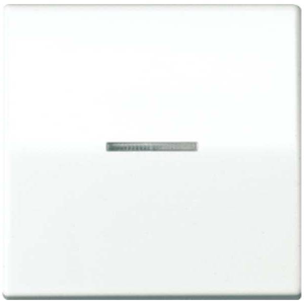 Jung Wippe Lichtleiter ws AS 591 KO5