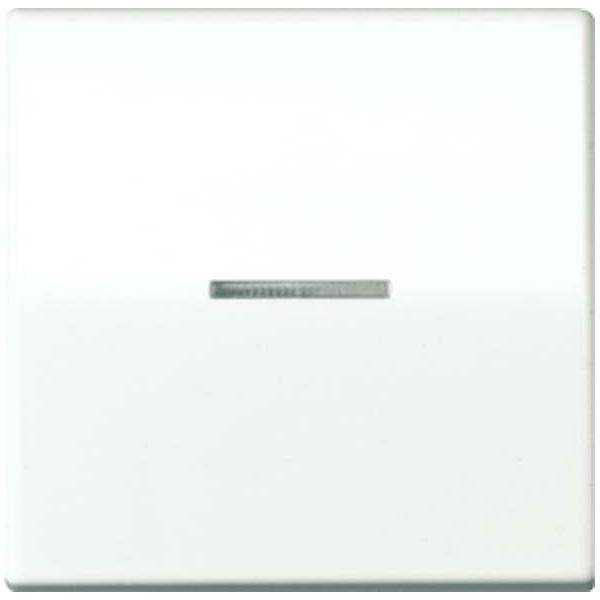 Jung Wippe Lichtleiter aws AS 591 KO5 WW