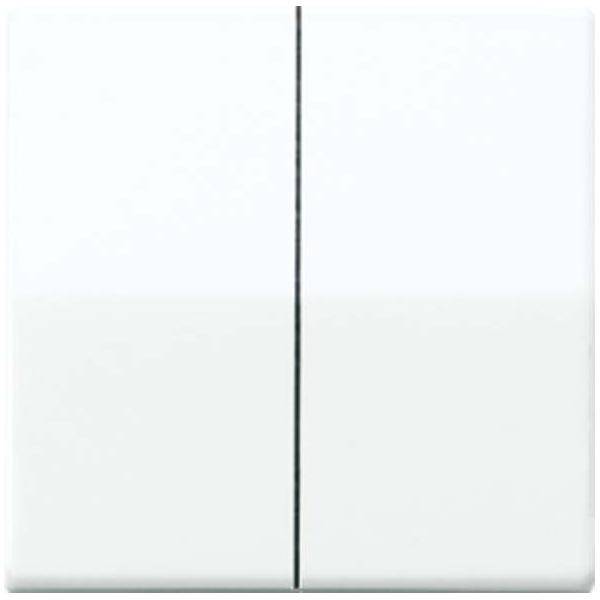Jung Wippe ws AS 591-5