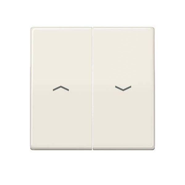 Jung Wippe Symbole ws AS 591-5 P