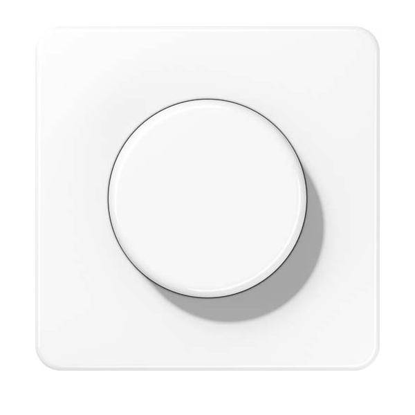Jung Abdeckung CD 1540 WW