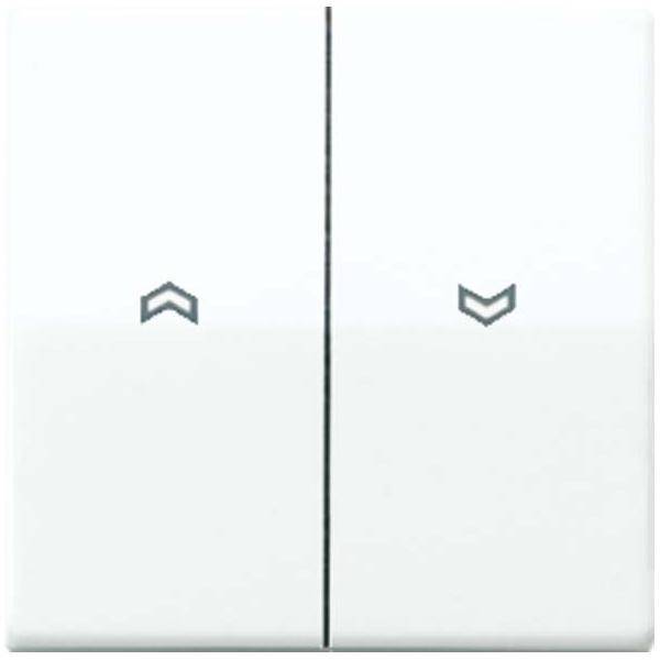 Jung Wippe Symbole aws AS 591-5 P WW
