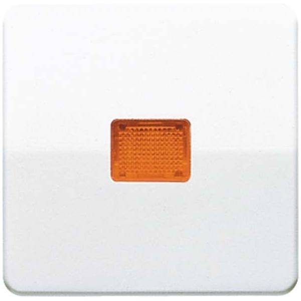 Jung Wippe Lichtfenster aws CD 590 KO WW