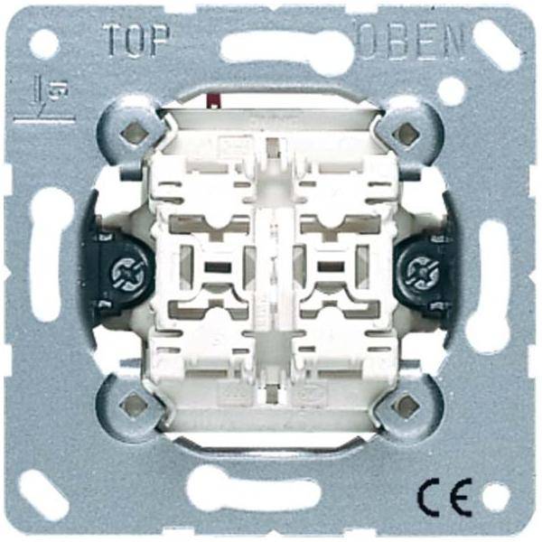 Jung Doppel-Taster 10AX 250V 539 U