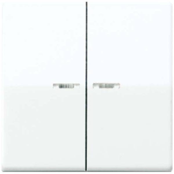 Jung Wippe Lichtleiter aws AS 591-5 KO5 WW