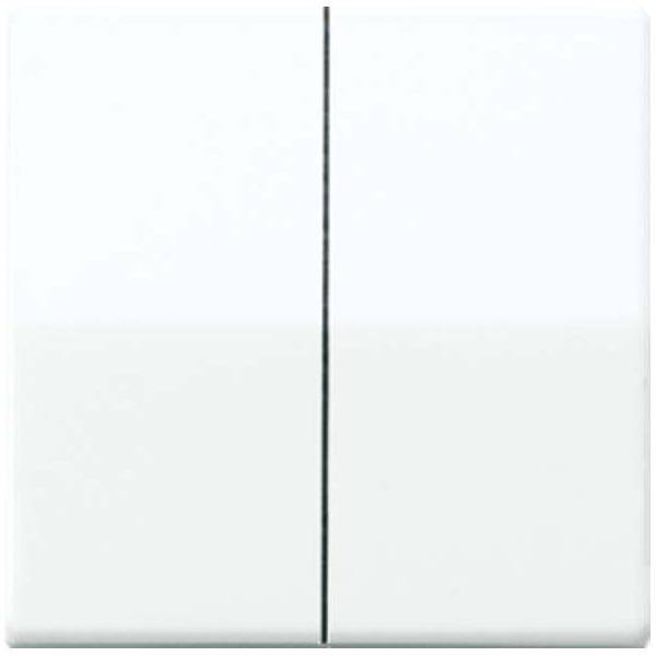 Jung Wippe aws AS 591-5 WW