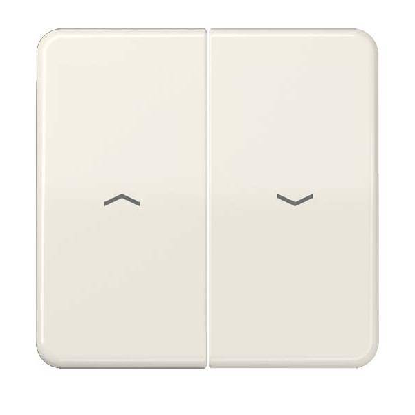 Jung Wippe Symbole ws CD 595 P