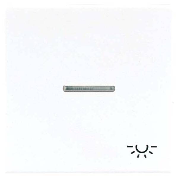 Jung Wippe Sym.LICHT/Lichtl.aw LS 990 KO5L WW