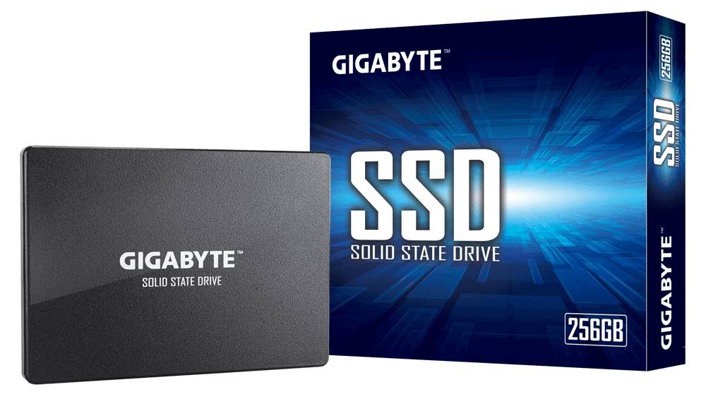 Gigabyte - 256 GB SSD - intern - 2.5" (6.4 cm)