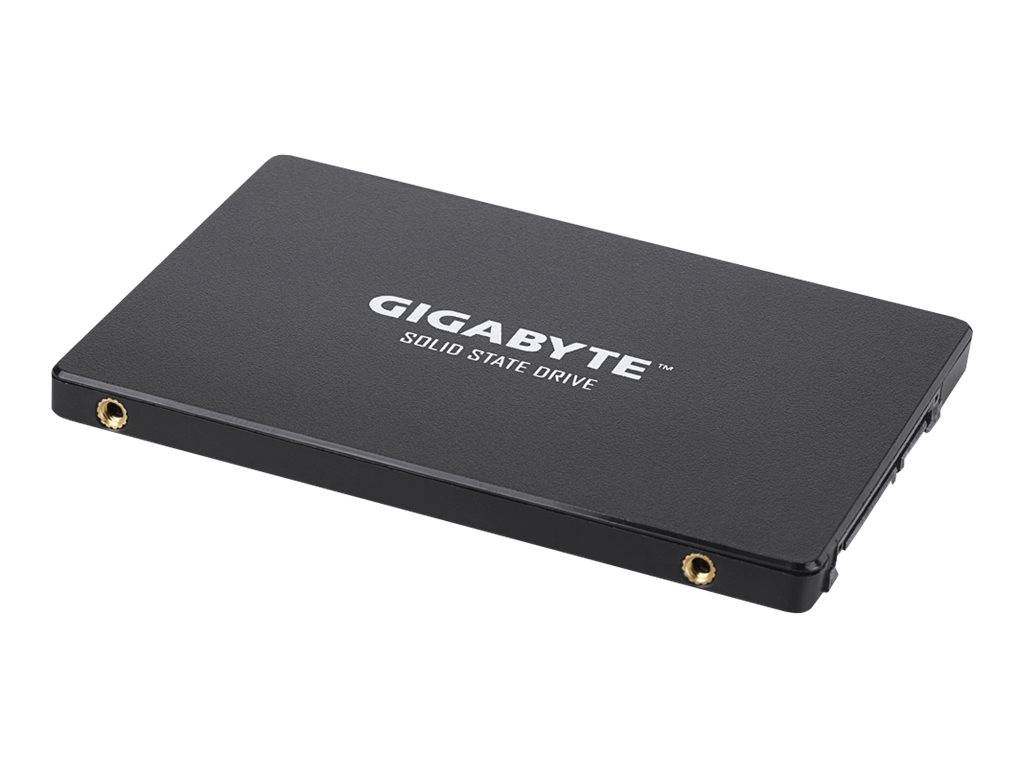 Gigabyte - 256 GB SSD - intern - 2.5" (6.4 cm)
