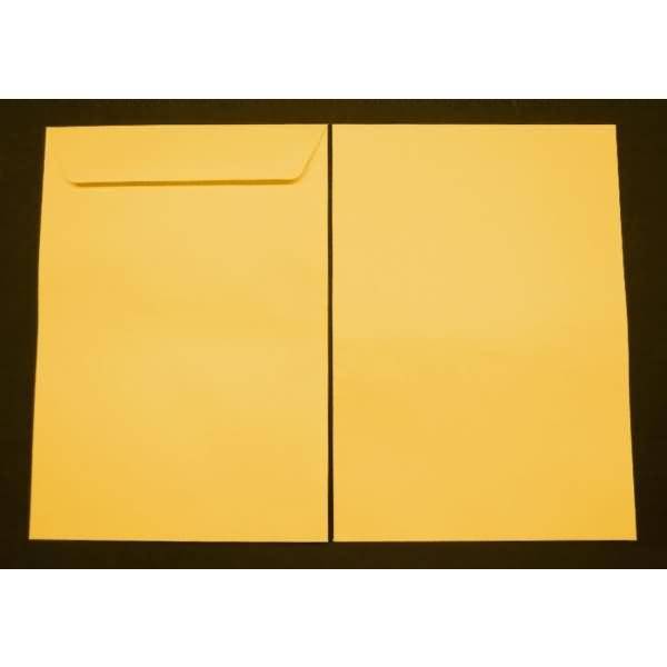 Versandtaschen C4 120g/qm gummiert VE=250 Stück curry