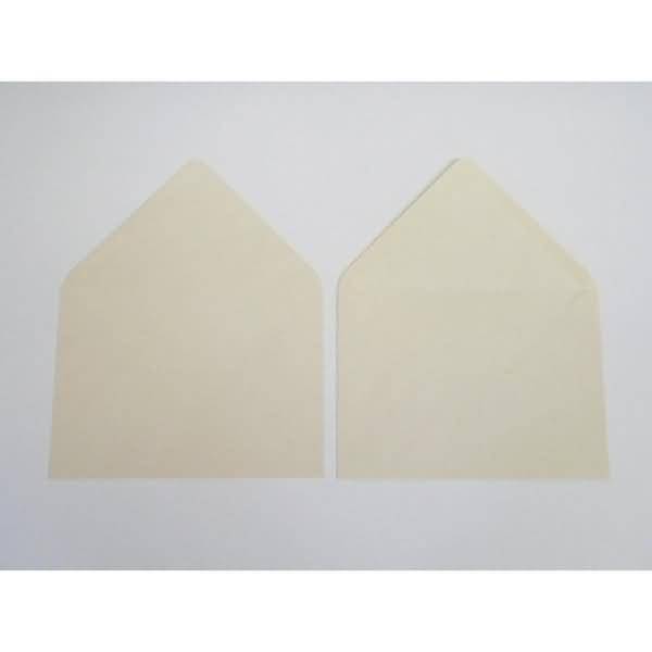 Briefumschläge 225x315mm 160g/qm gummiert VE=100 Stück chamois