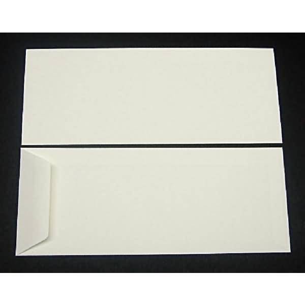 Versandtaschen 125x312mm 120g/qm gummiert VE=100 Stück biotop