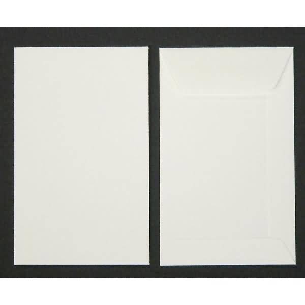 Versandtaschen 65x105mm 120g/qm gummiert VE=100 Stück biotop