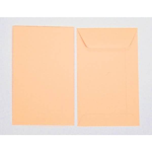 Versandtaschen 65x105mm 120g/qm gummiert VE=100 Stück koralle