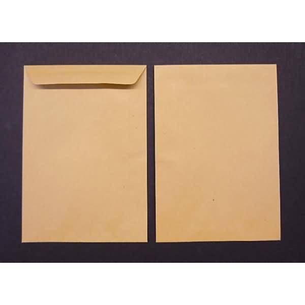 Versandtaschen 65x105mm 120g/qm gummiert VE=100 Stück cappuccino