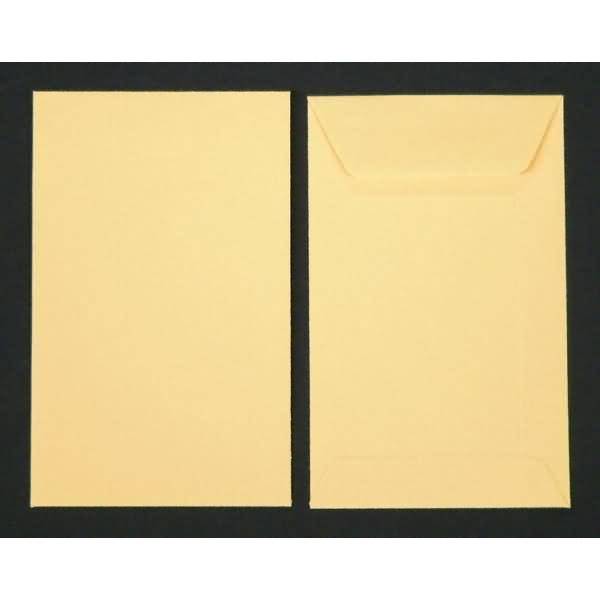 Versandtaschen 65x105mm 120g/qm gummiert VE=100 Stück korn