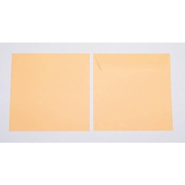 Briefumschläge 220x220mm 120g/qm gummiert VE=100 Stück koralle