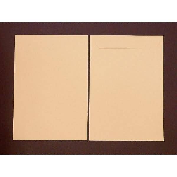 Versandtaschen 220x312mm 120g/qm gummiert VE=100 Stück koralle