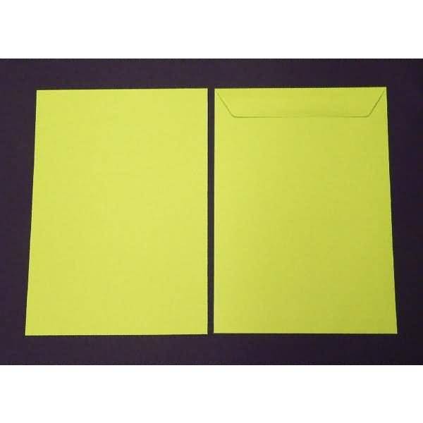 Versandtaschen 220x312mm 120g/qm gummiert VE=100 Stück lindgrün