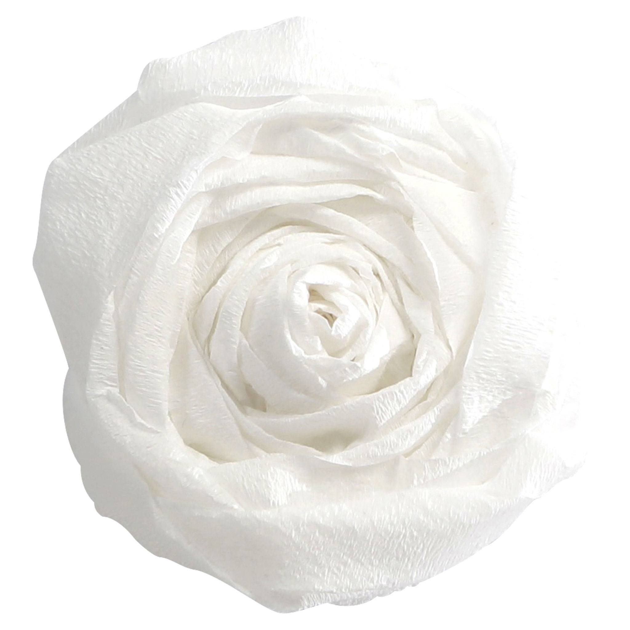 Clairefontaine Krepppapier, Pack. 10 Bogen gefaltet 2mx0 ,50m Weiß 903001C