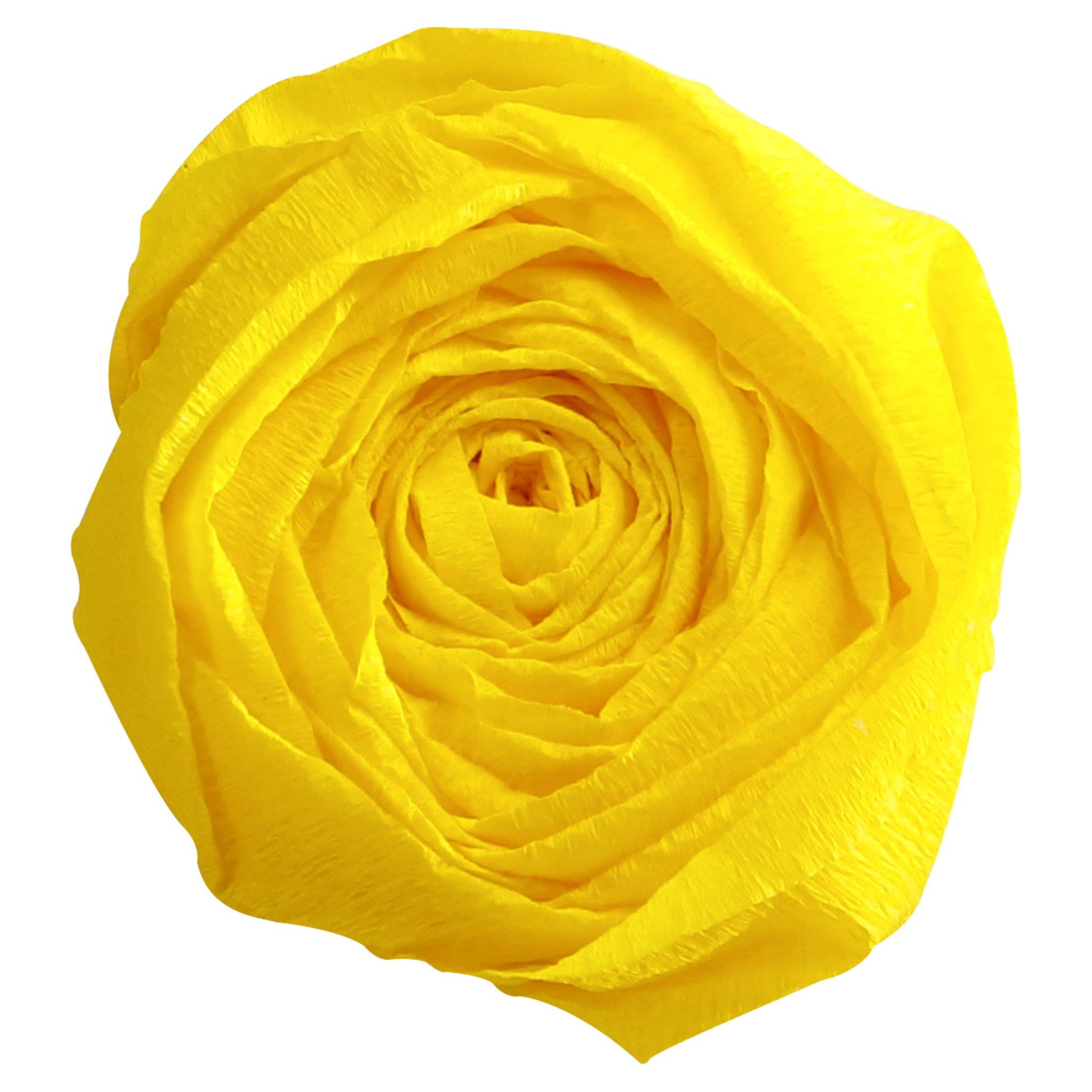 Clairefontaine Krepppapier Pack. 10 Bogen gefaltet 2mx0,50m Zitronengelb 903015C