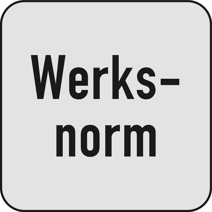 Werksnorm' ist in fetter schwarzer Schrift zentriert auf einem hellgrauen Hintergrund innerhalb eines dünnen schwarzen Rahmens dargestellt.