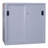 Schiebetürenschrank H1000xB1000xT600mm lichtgrau 2Fbd.Vollblechtüren Schiebetürenschrank H1000xB1000xT600mm lichtgrau 2Fbd.Vollblechtüren