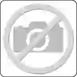 Anfahrschutz z.Abbremsen verz.f.schwe.Rollenleiste BITO Anfahrschutz z.Abbremsen verz.f.schwe.Rollenleiste BITO