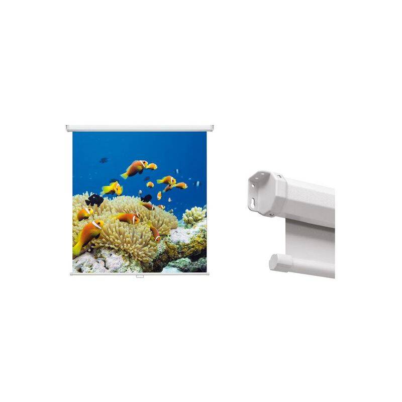 magnetoplan Rollo-Leinwand, (B)2.400 x (H)2.400 mm