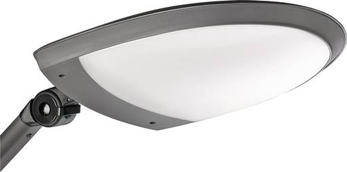 Schreibtischlampe Ku.schwarz/anthrazit m.Standfuß m.LED 915LED