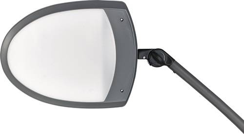 Schreibtischlampe Ku.schwarz/anthrazit m.Standfuß m.LED 915LED